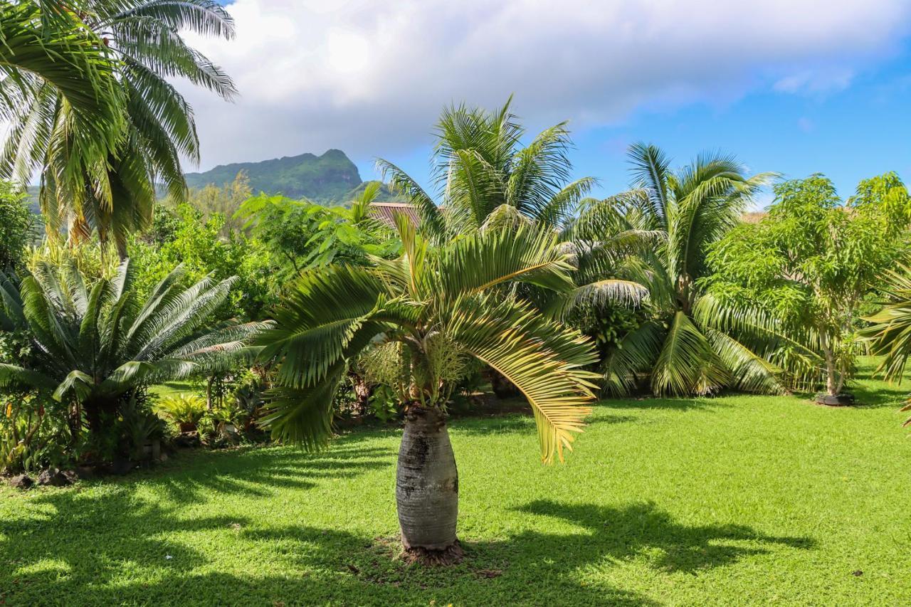 Bungalow Bali Hai Fare Zewnętrze zdjęcie